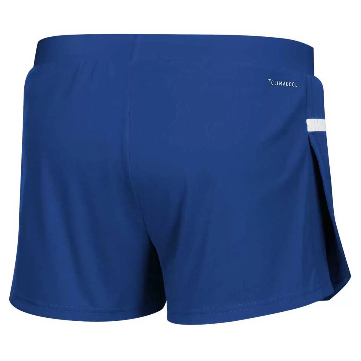 adidas Men's Team Royal/White Team 19 Running Shorts