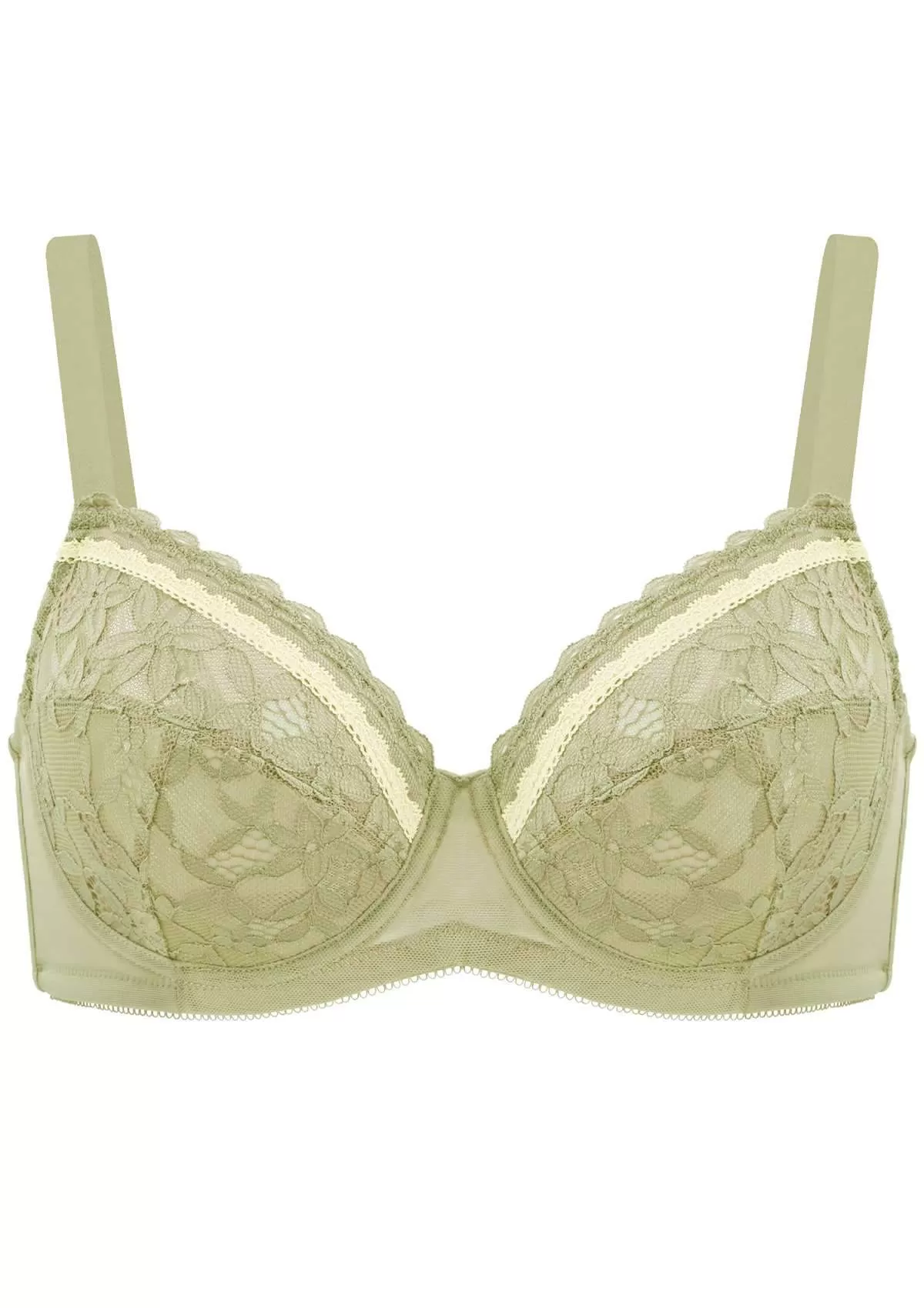 Jessamine Contrast Color Lace Underwire Bra