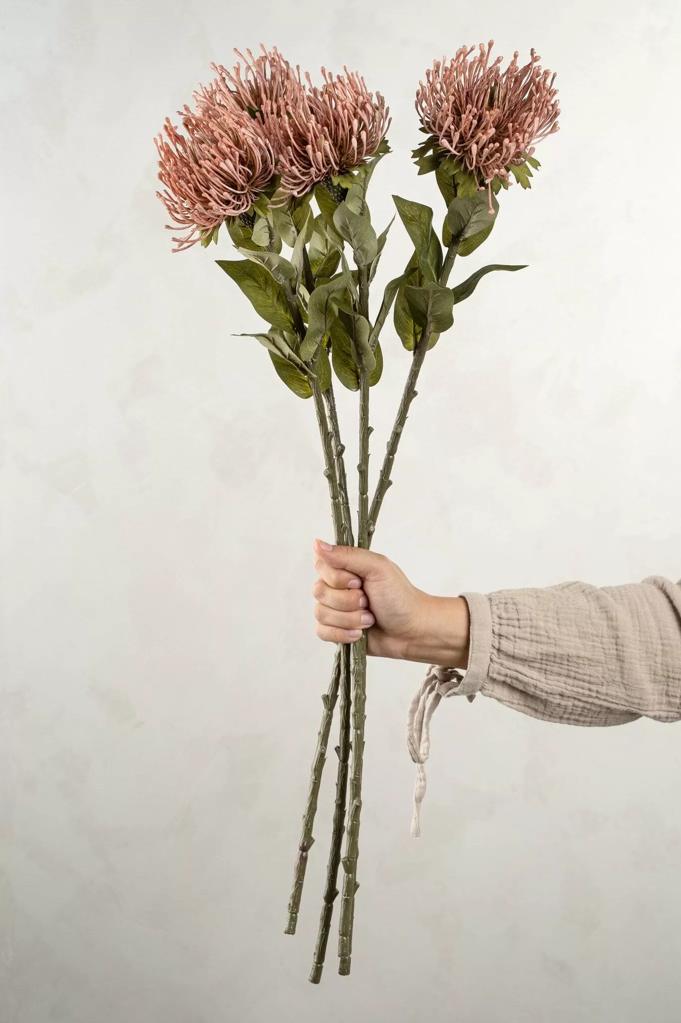 Pin Cushion Floral Stem