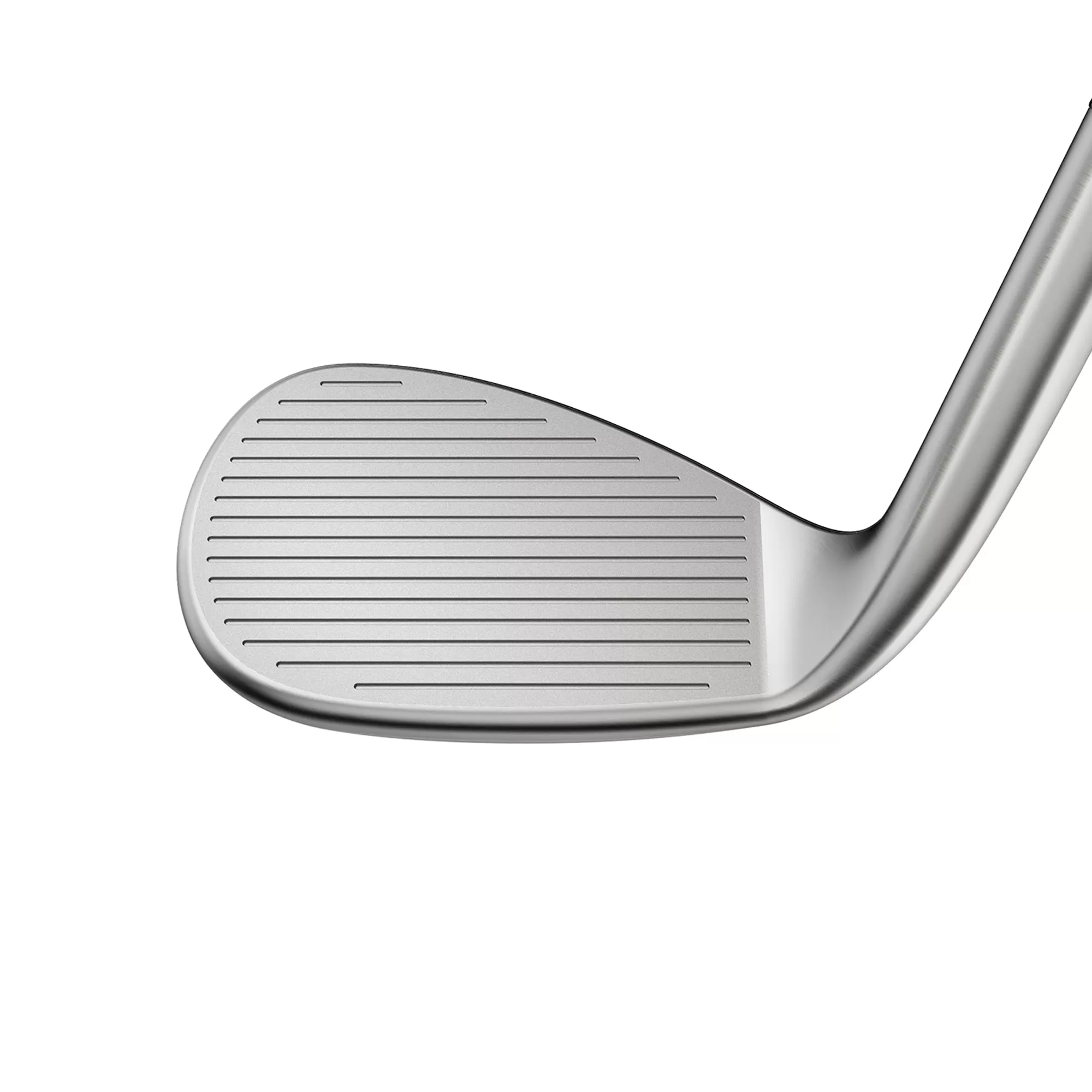 SNAKEBITE Raw Wedge | Classic | Left