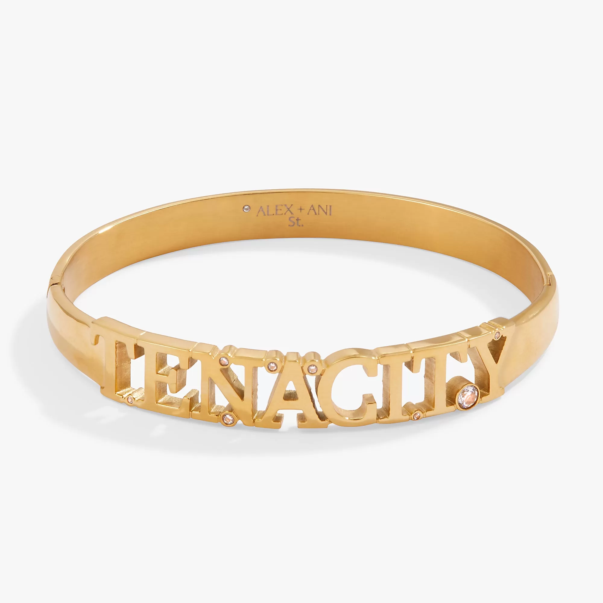 Tenacity Hinge Bracelet